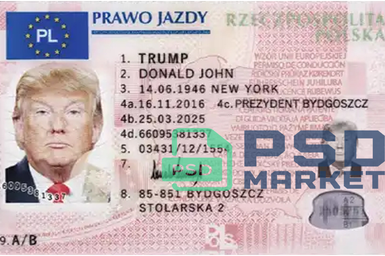 Poland Driver License Template 2013