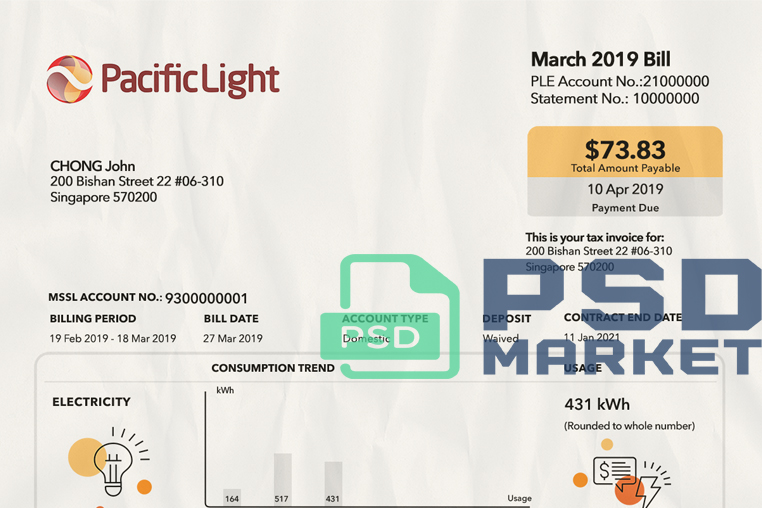 Singapore Electricity Utility Bill Template