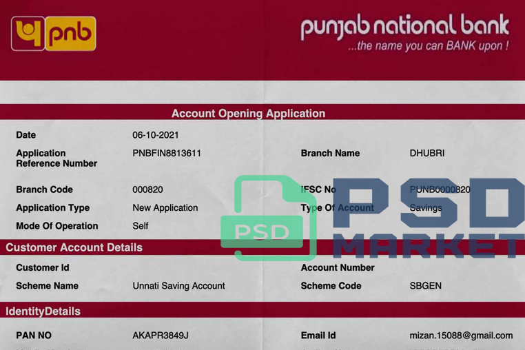 India Punjab National Bank Statement Template