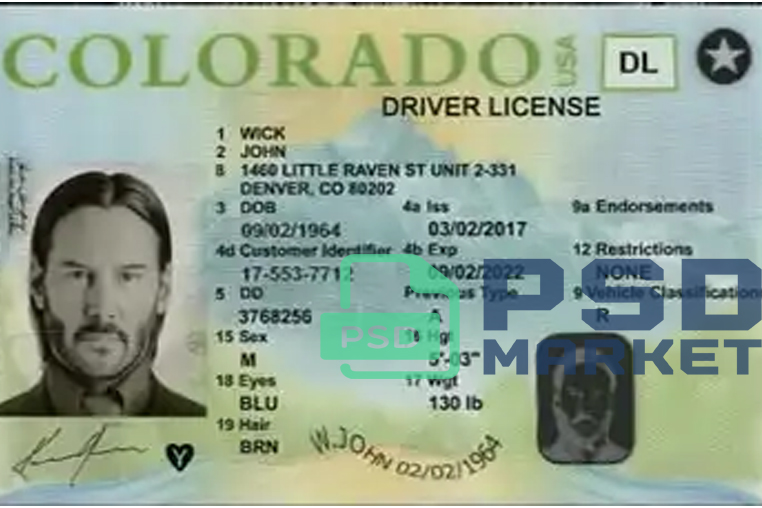 United States (Colorado) Driver License New V1