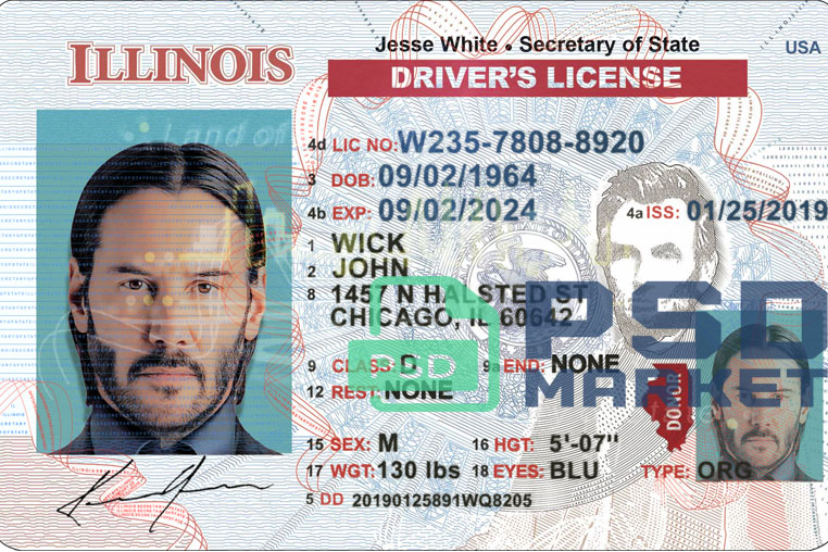 United States (Illinois) Driver License Template