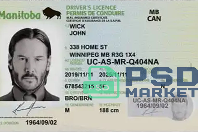 United States (Manitoba) Driver License