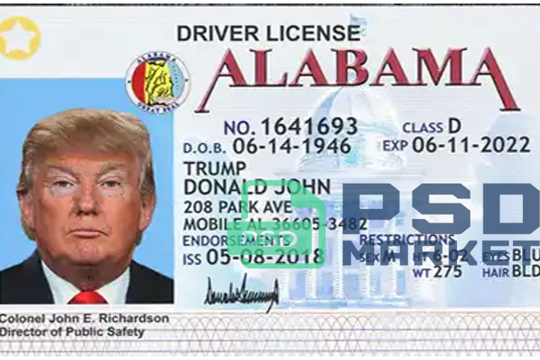 United States (Alabama) Driver License Editable PSD